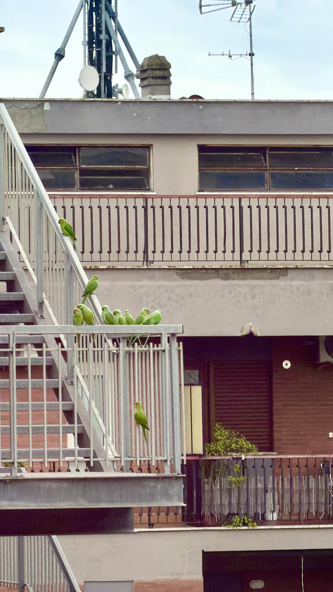 Che cosa chiamiamo davvero natura?